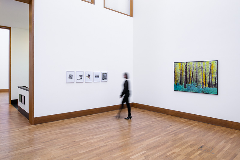 Collagen, After Nature - Overpainted Shot, Installationview, Galerie Gisela Clement, Bonn, 2021, Foto: David Ertl